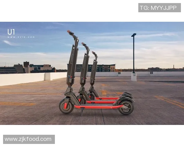 赛后复盘：探讨北京滑板队与深圳滑板队的团队协作与战术分析