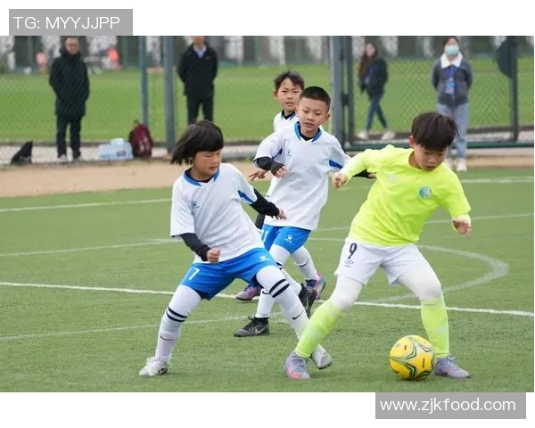 地质学视角下的足球场地选择与运动员表现的关系探讨