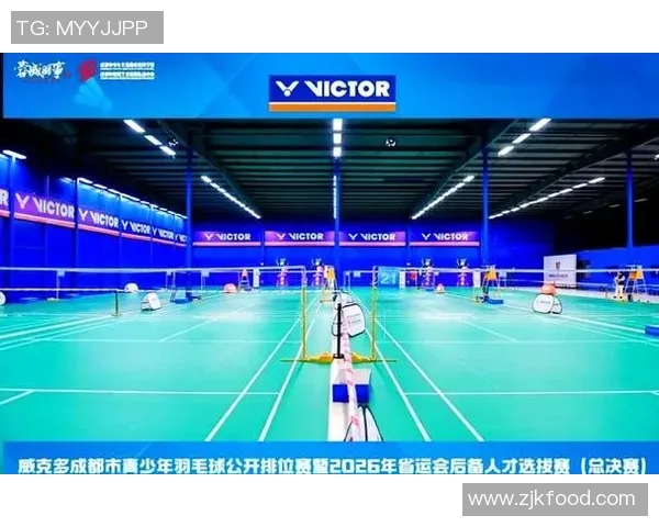 成都羽毛球队的转型之路与深度解析羽毛球运动的未来发展