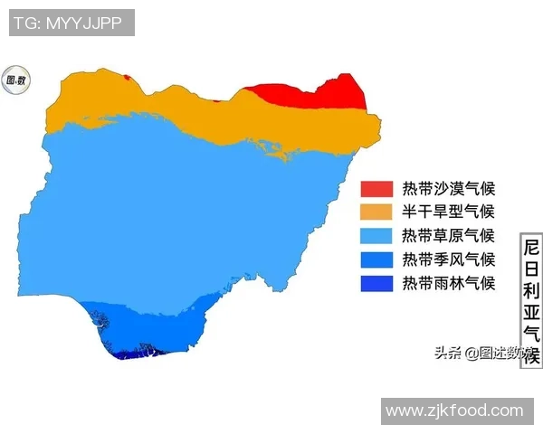 探索高校足球专业的多样性与发展前景分析