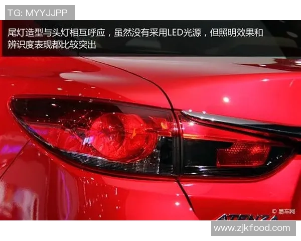 独家解析广州排球队技术特点与对手实力的全面对比分析 独家解析广州排球队技术特点与对手实力的全面对比分析