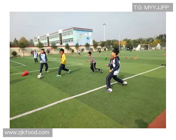 足球大侠书籍揭秘足球世界的传奇与智慧，带你领略绿茵场上的英雄故事与战术分析