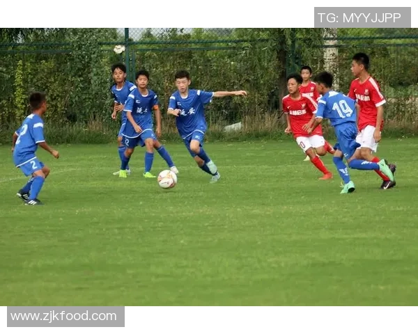 足球都有的魅力与激情探讨以及对未来发展的展望与期待