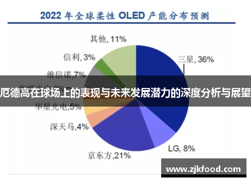 厄德高在球场上的表现与未来发展潜力的深度分析与展望